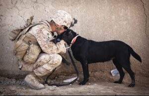 soldier and black dog cuddling