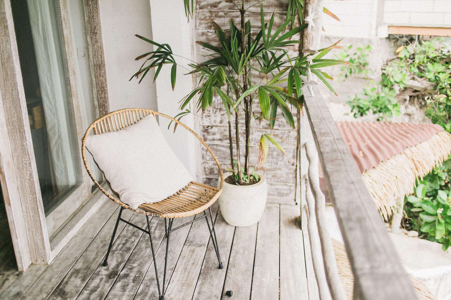 potted plant and chair on balcony