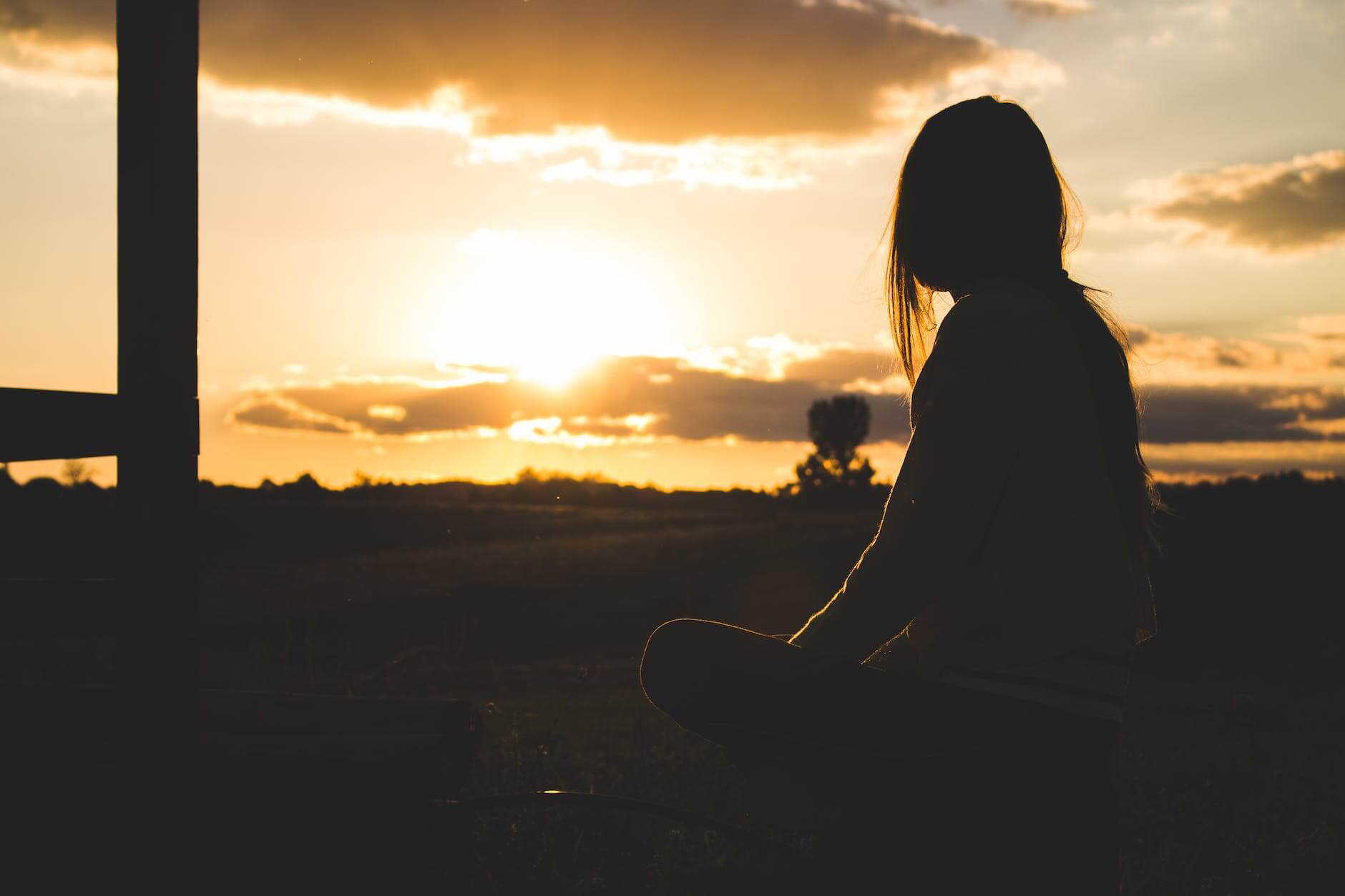 silhouette photo of woman sitting near trees during golden hour